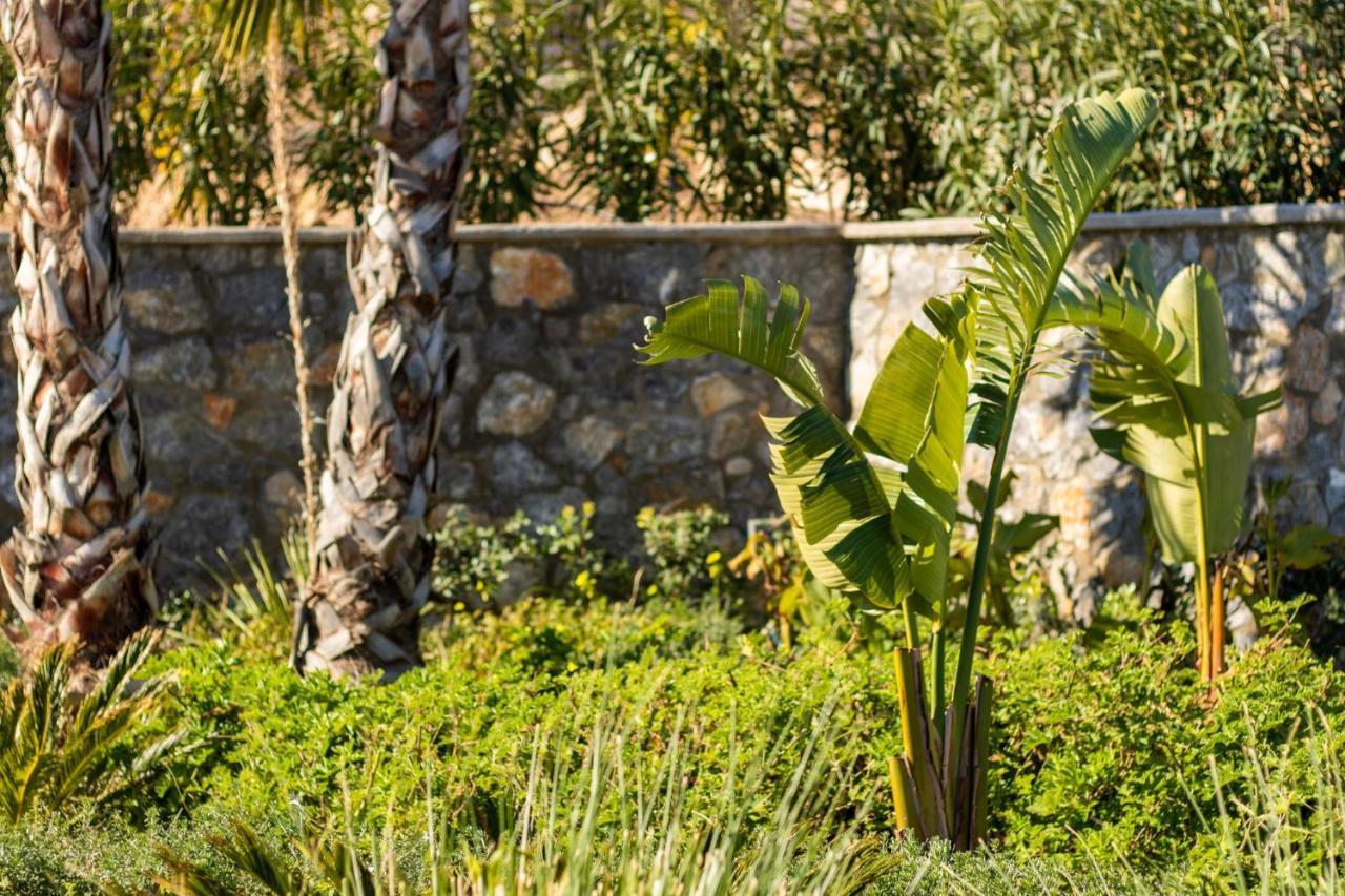 Istia Luxury Villas Karpathos Exterior foto